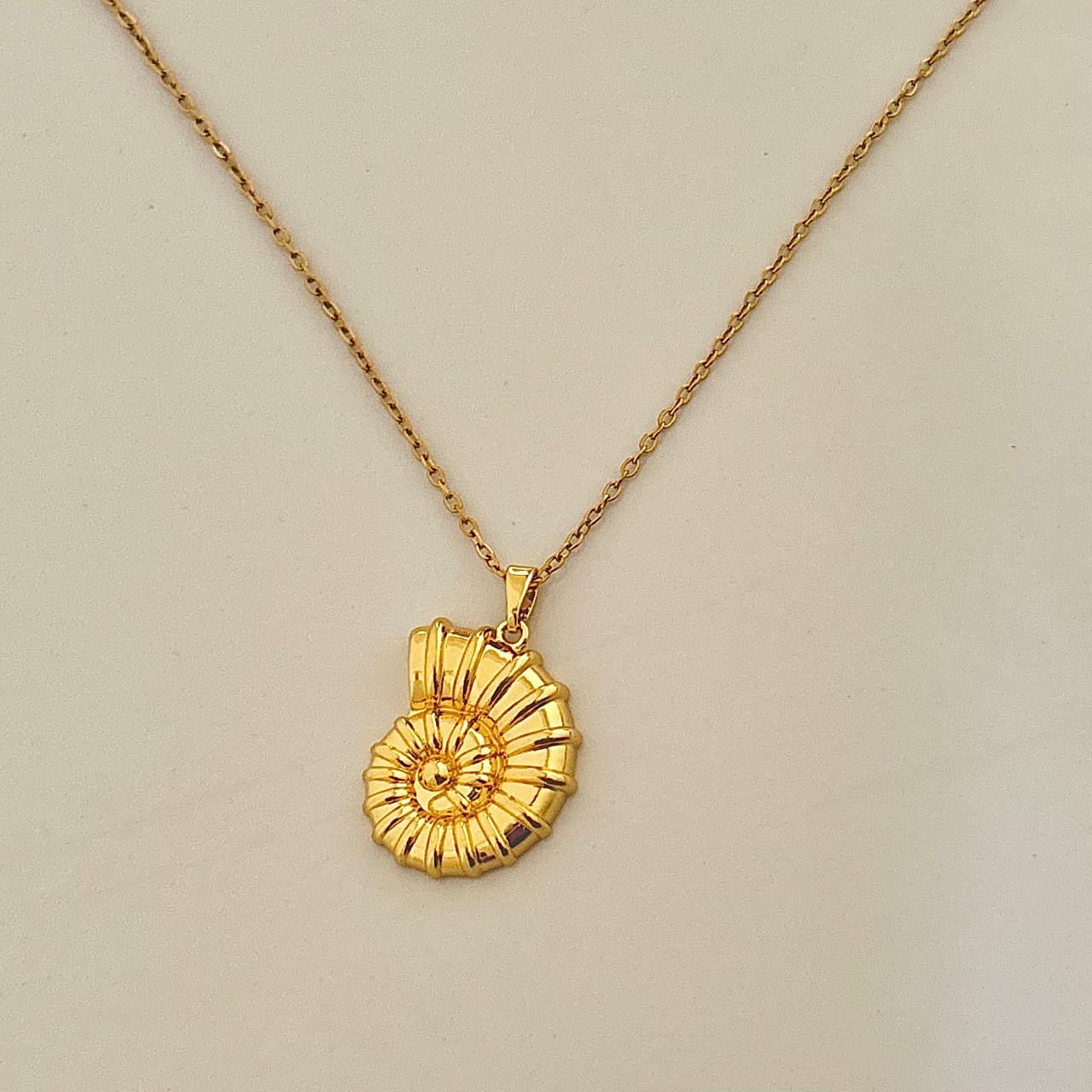 Phi Phi Shell Necklace