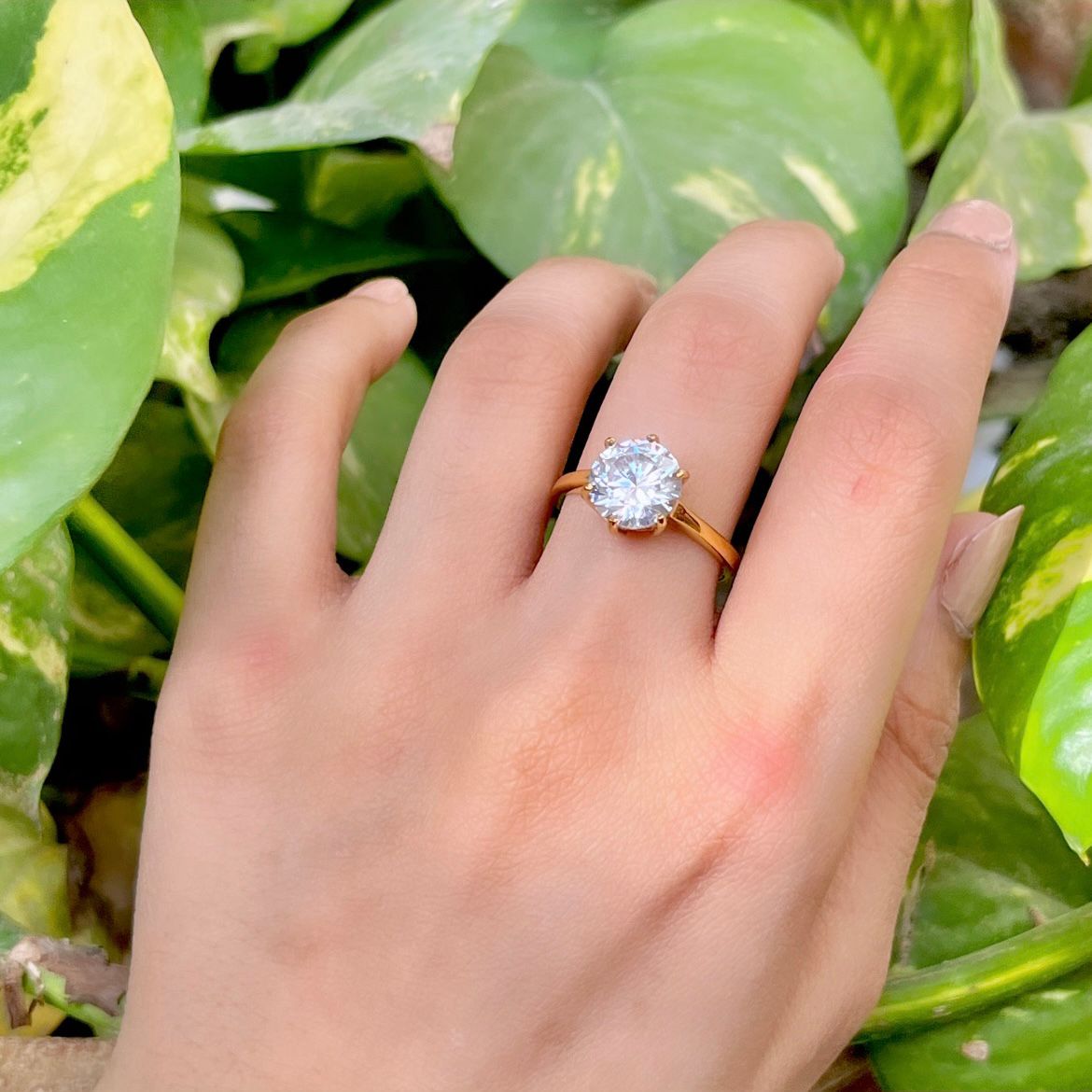 Anatasia Solitiare Ring -Adjustable