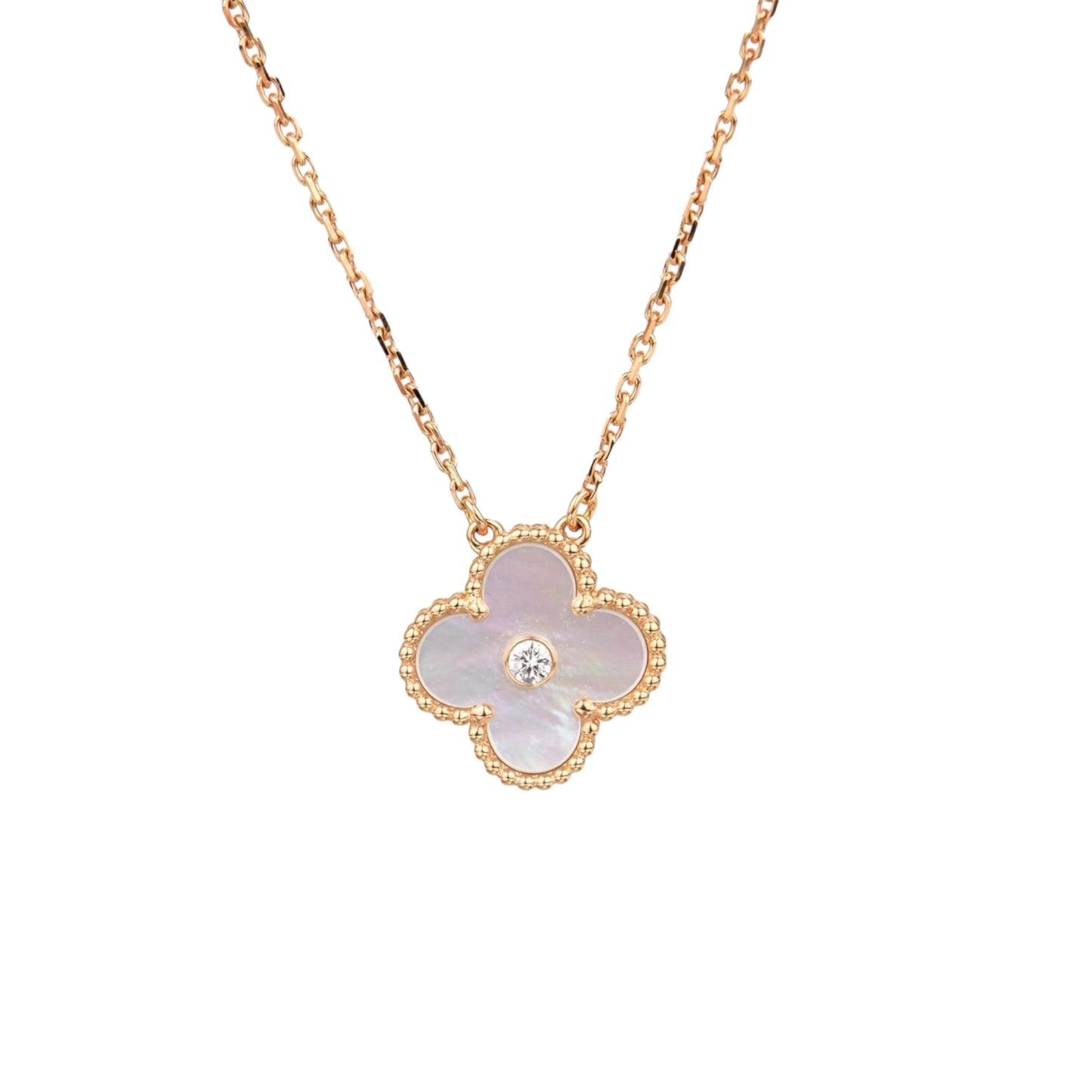 Perlé Queen Clove Necklace -Shell