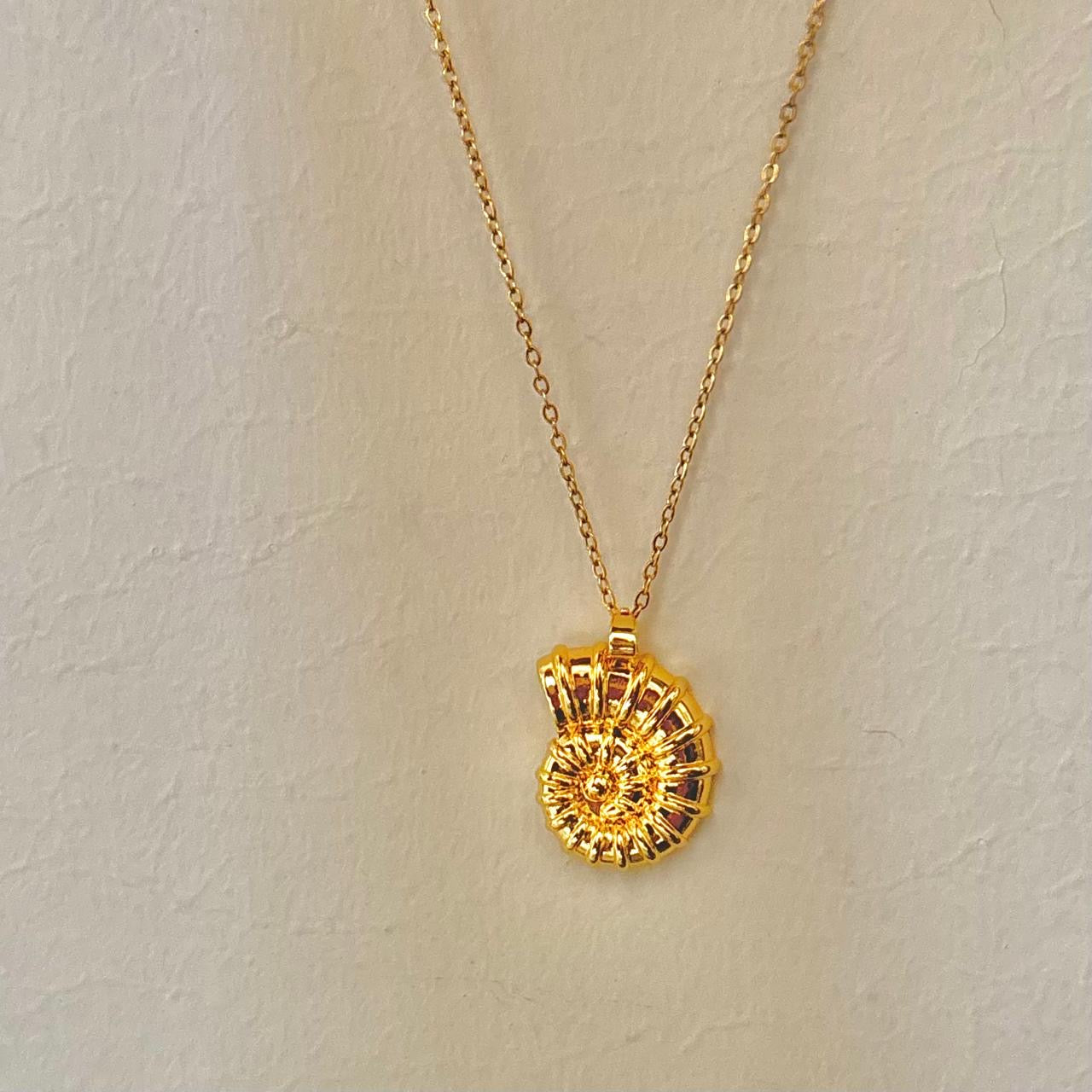 Phi Phi Shell Necklace