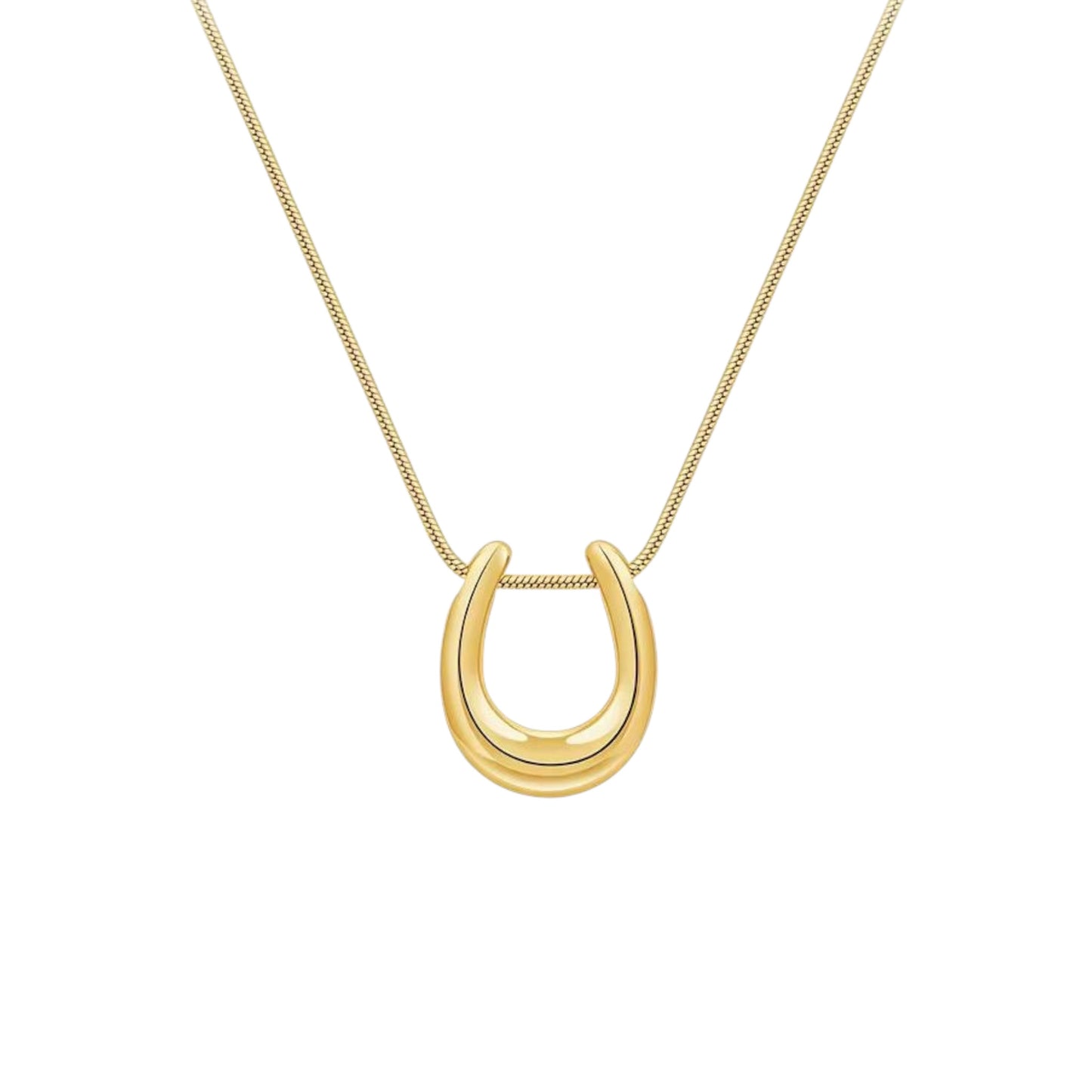 Horse Shoe Necklace