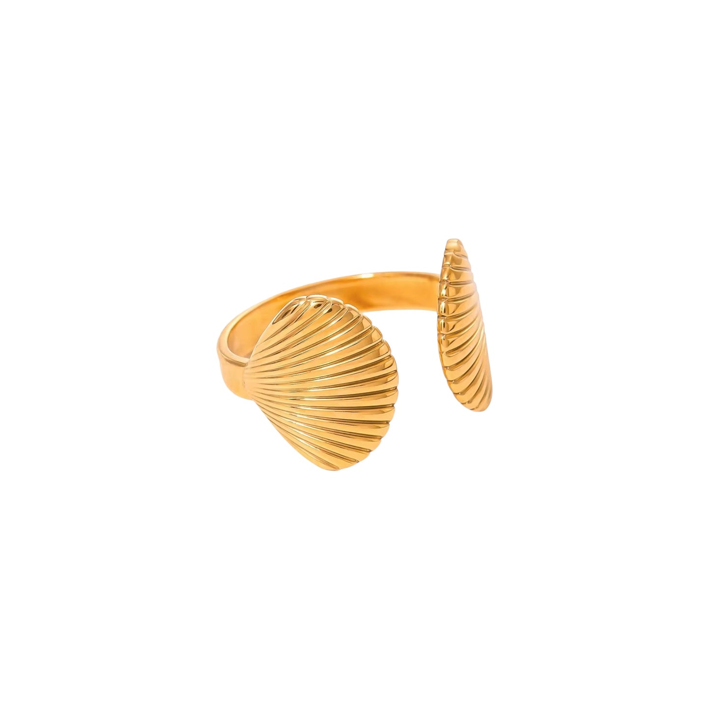 Shell Ring