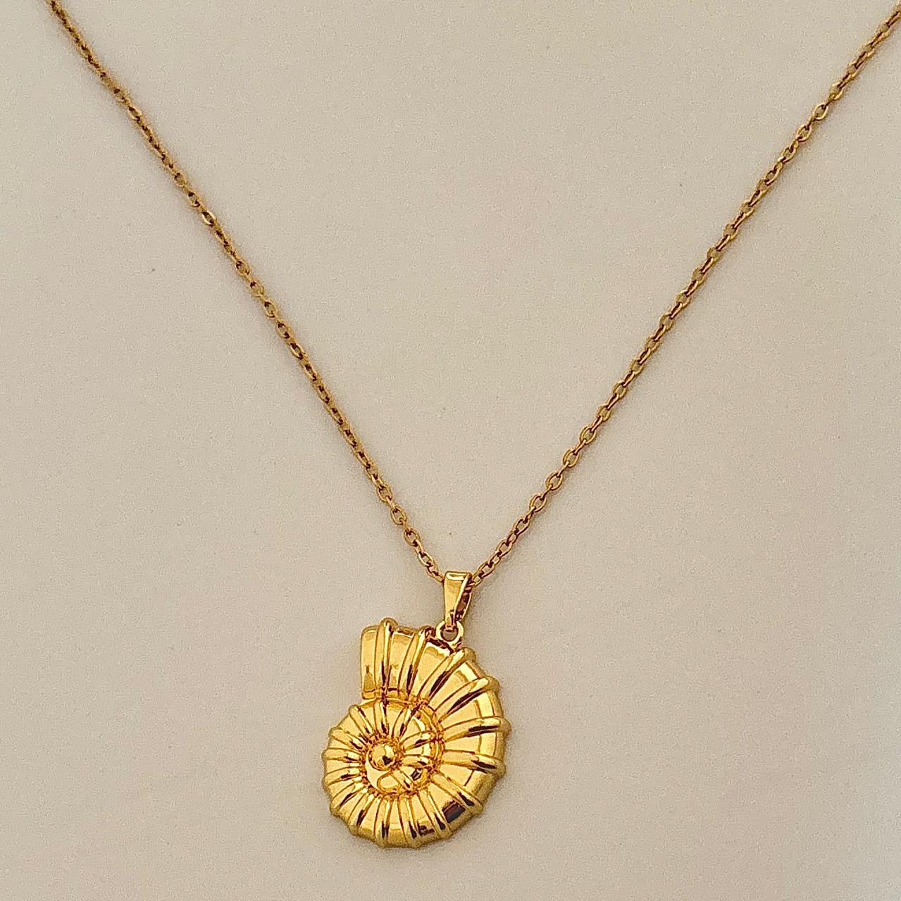 Phi Phi Shell Necklace