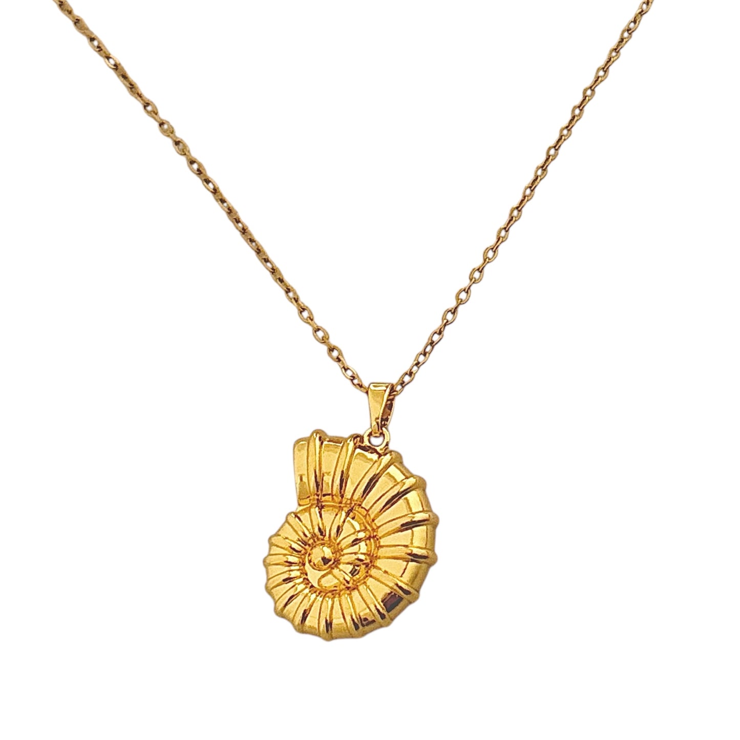 Phi Phi Shell Necklace